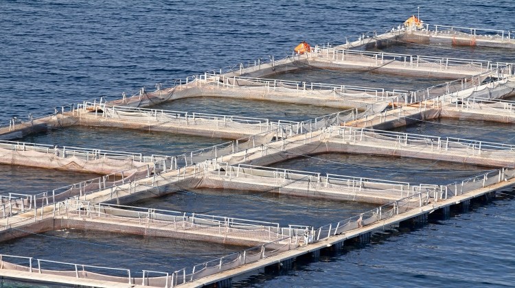 水產(chǎn)養(yǎng)殖（淡水）水質(zhì)監(jiān)測解決方案